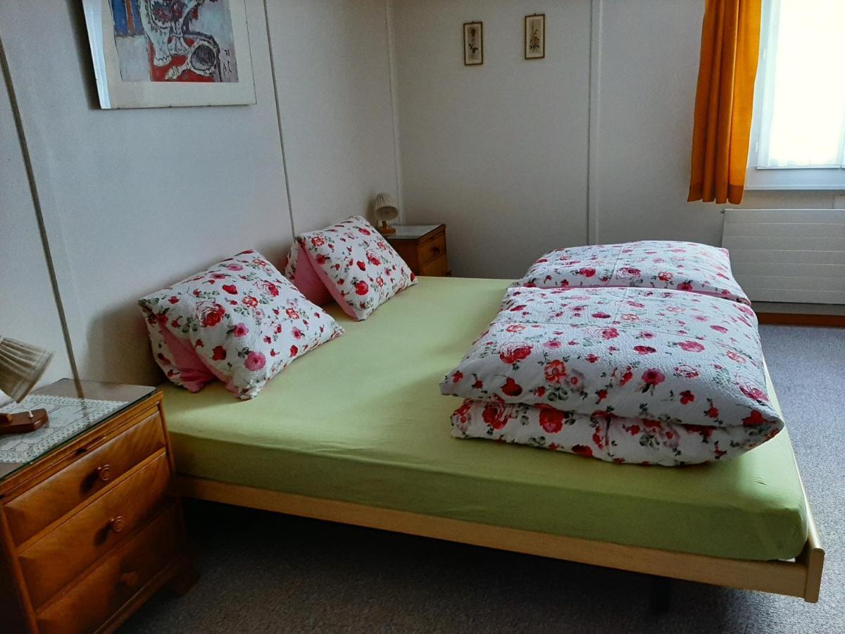 Casa Schuoler Apartment Disentis Bagian luar foto