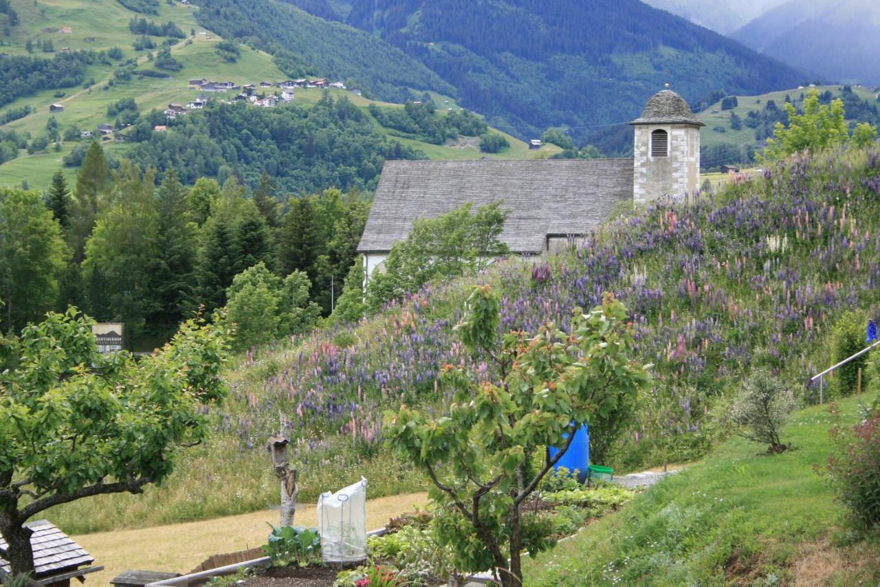 Casa Schuoler Apartment Disentis Bagian luar foto