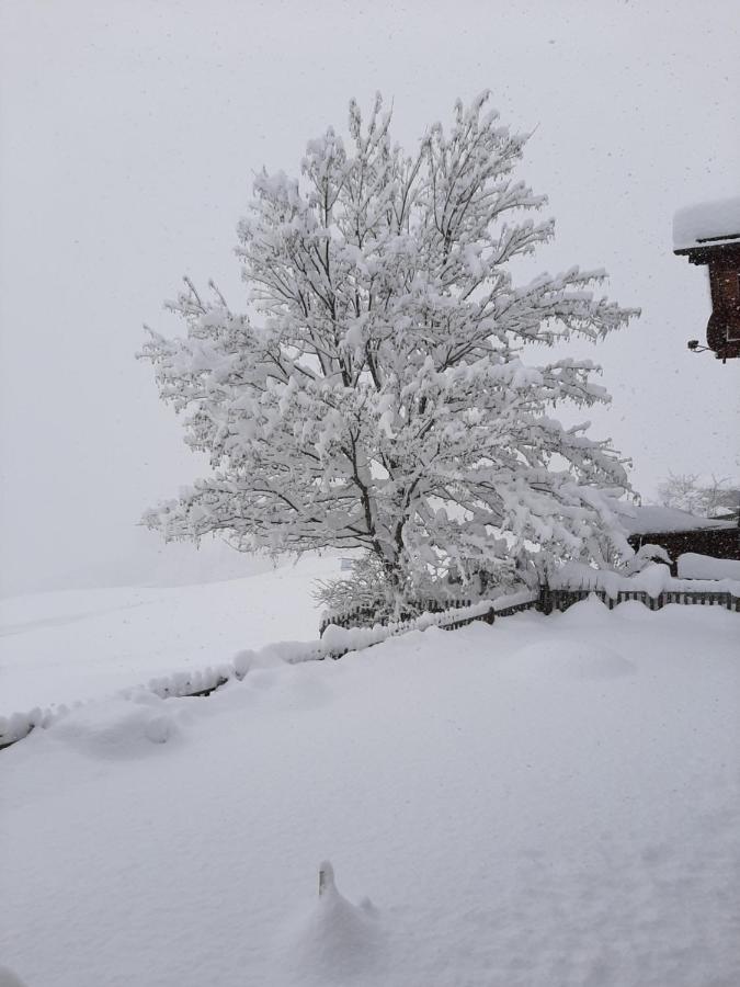 Casa Schuoler Apartment Disentis Bagian luar foto